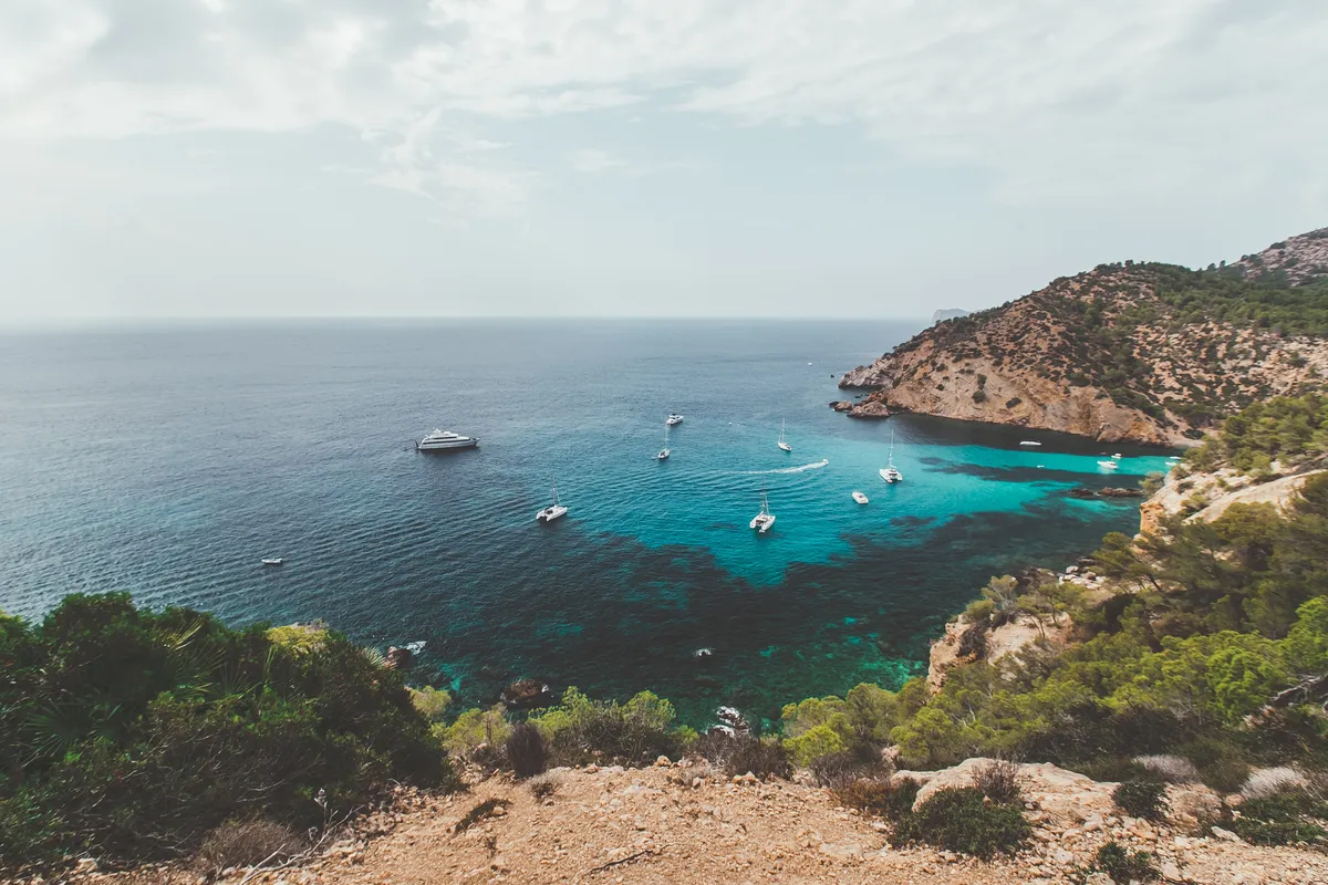 Palma