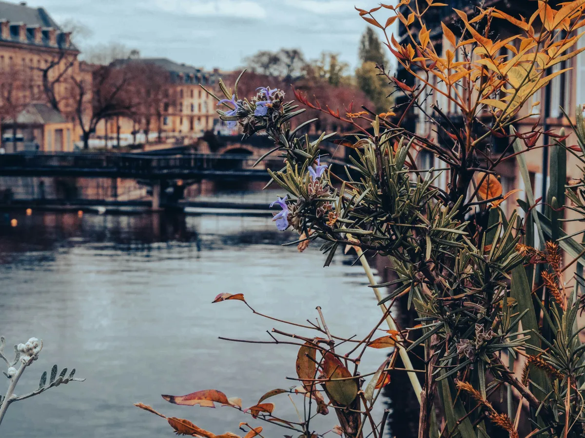 Metz