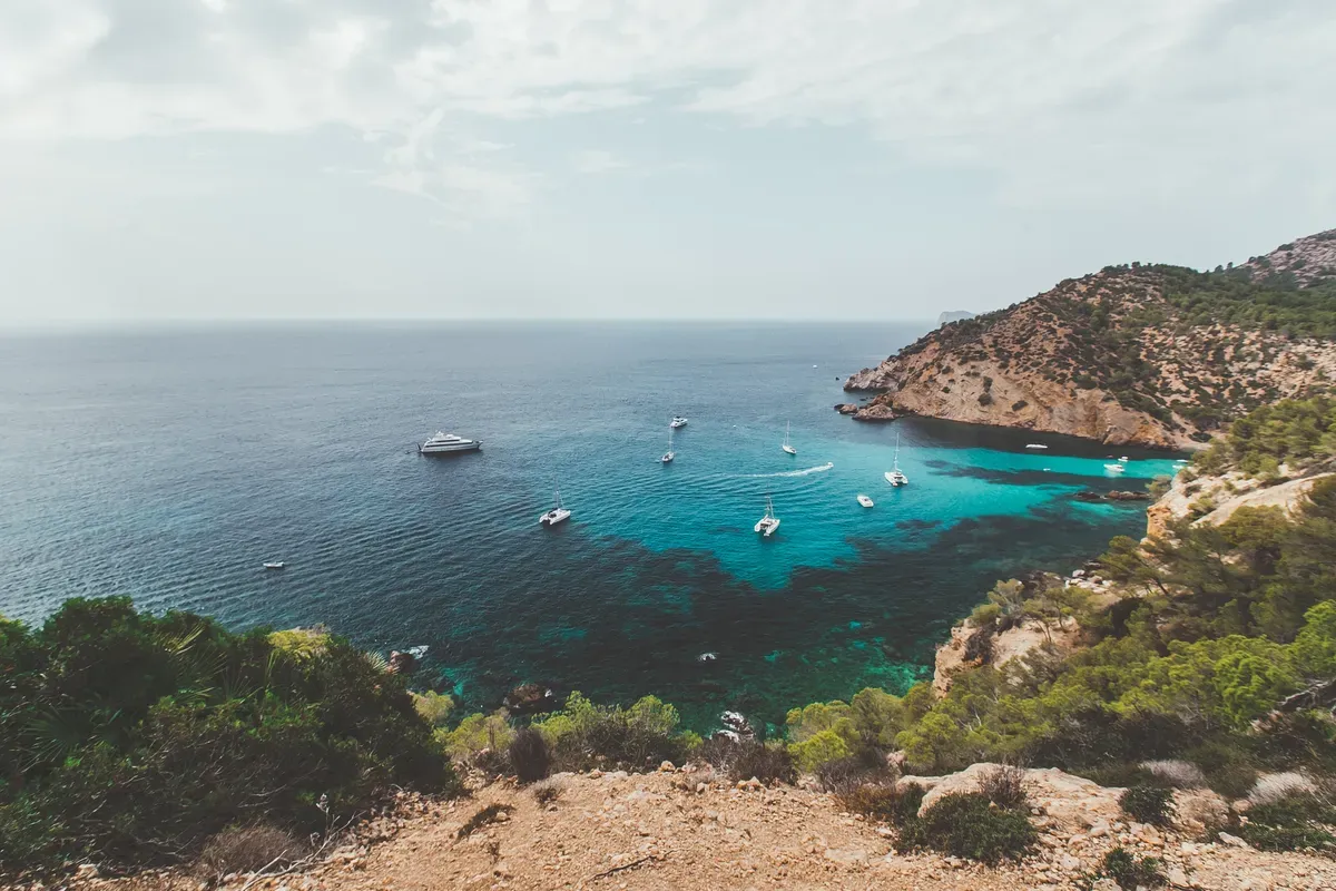 Palma