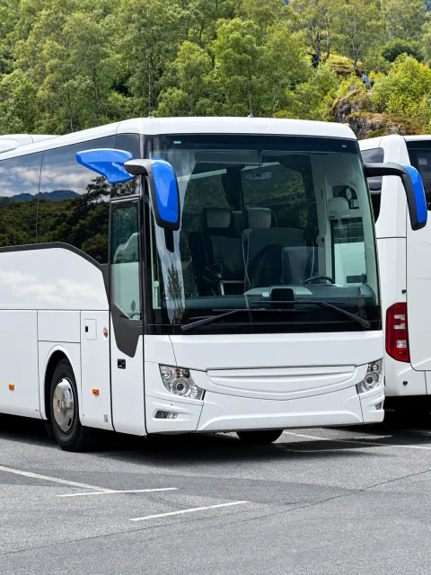 Pullman Mercedes-Benz bianco parcheggiato davanti agli alberi